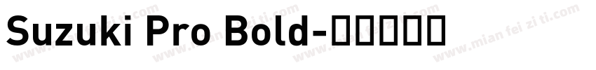 Suzuki Pro Bold字体转换